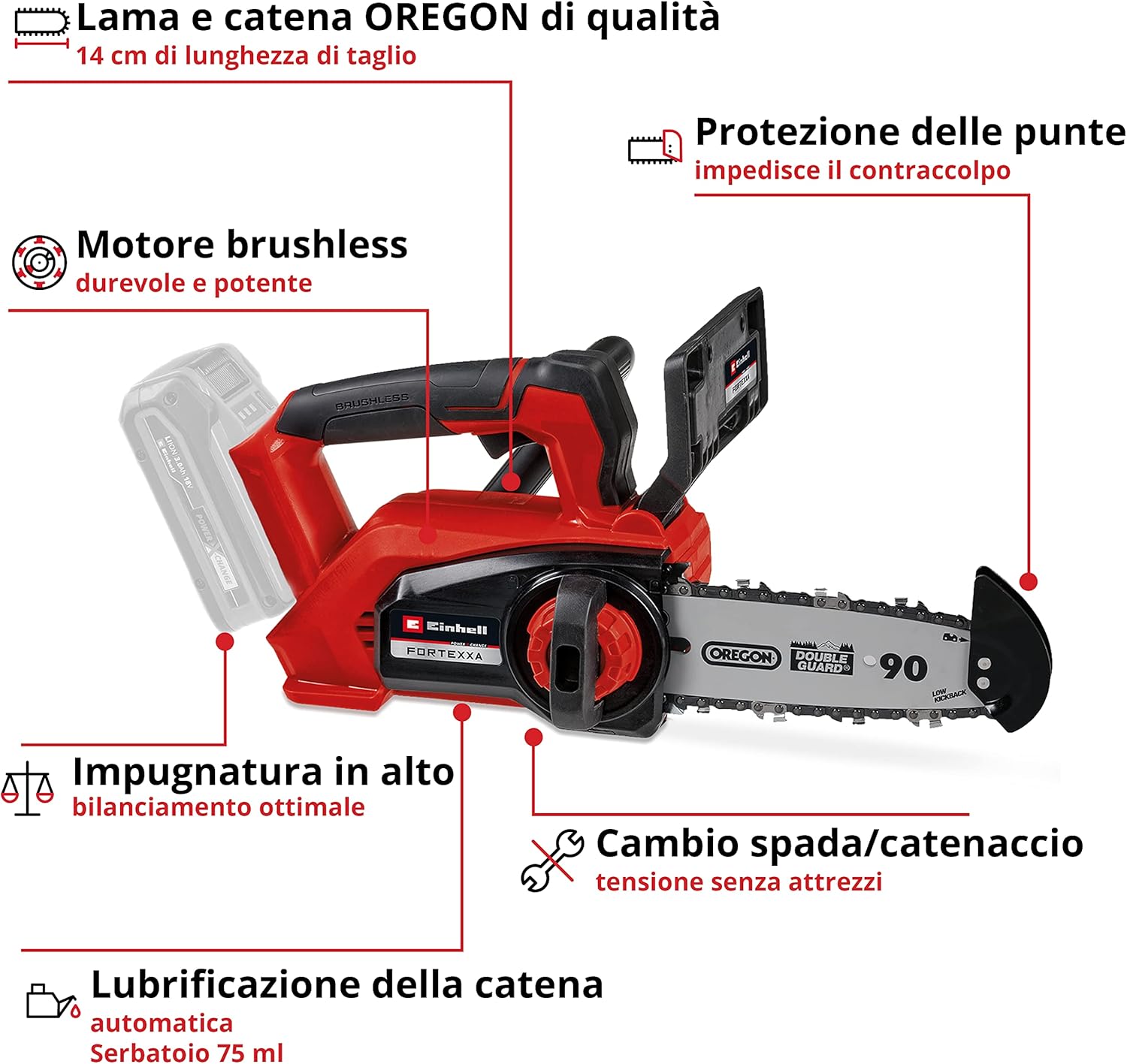 fortexx5
